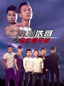 二龍湖浩哥之今生是兄弟海報(bào)