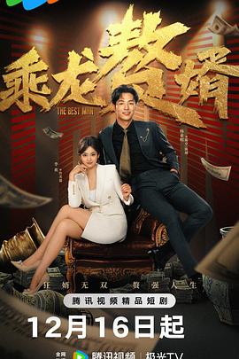 乘龍贅婿海報
