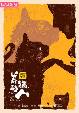 養(yǎng)貓的人 海報